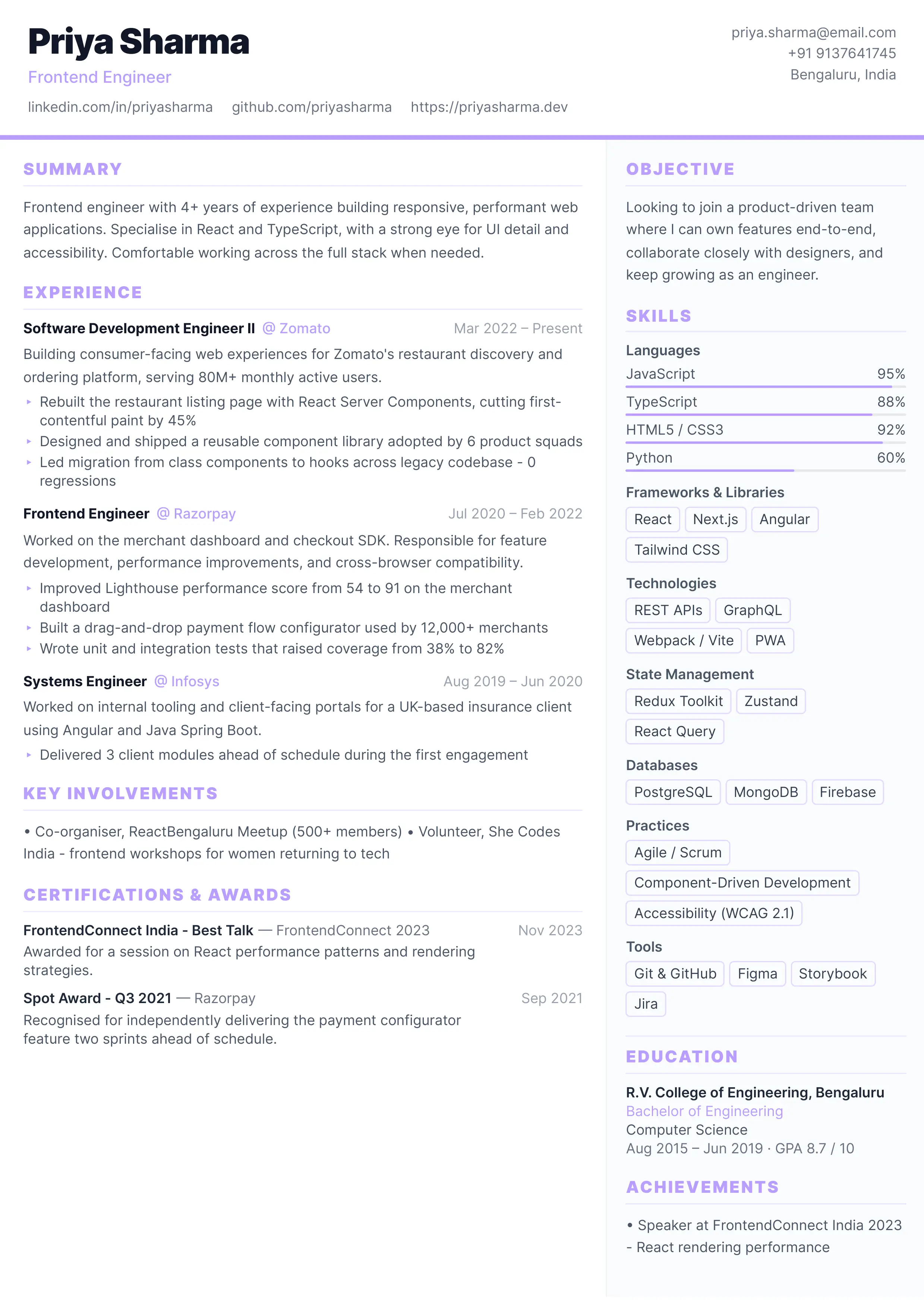 Professional Resume preview